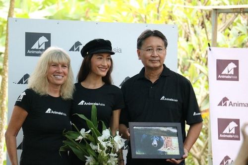 Diễn viên người Mỹ gốc Việt Maggie Q đặt tên cho một chú gấu ở Tam Đảo