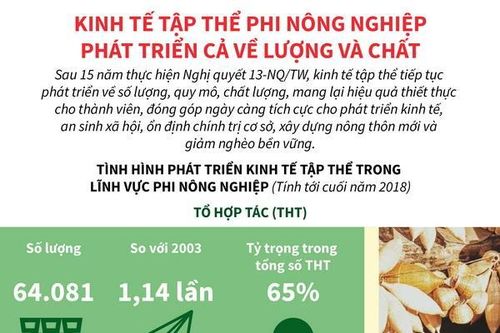 Kinh tế tập thể phi nông nghiệp phát triển cả về lượng và chất