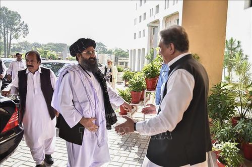 Pakistan và Taliban kêu gọi nối lại đàm phán hòa bình