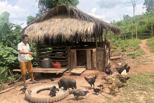 Nậm Củng - bản giữa rừng không hộ nghèo