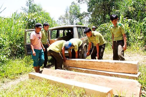 Gian nan bảo vệ rừng