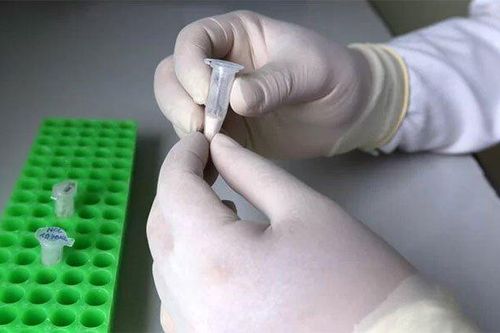 Nghiên cứu về hệ gene người Việt tìm ra nhiều bệnh hiếm gặp