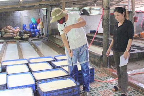 Làm giàu từ cơ sở thu mua, chế biến mủ cao su