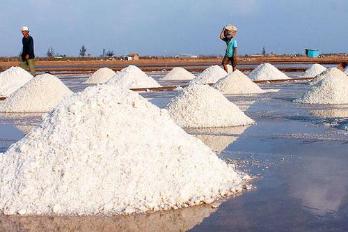 Đặc sản Bạc Liêu
