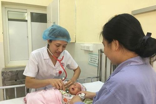 Trẻ suýt nguy kịch tính mạng vì mẹ uống lá cây lợi sữa