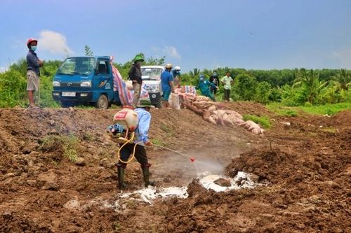 Kiểm soát nguy cơ ô nhiễm môi trường từ dịch tả lợn châu Phi