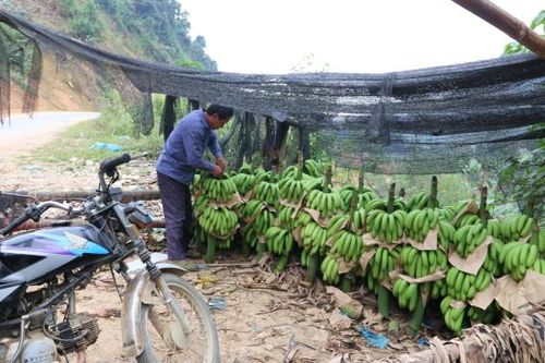 Tạo đột phá mới