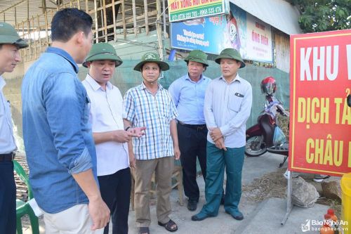 Chủ tịch UBND tỉnh Thái Thanh Quý: Tập trung cao độ hơn cho phòng chống dịch tả lợn châu Phi