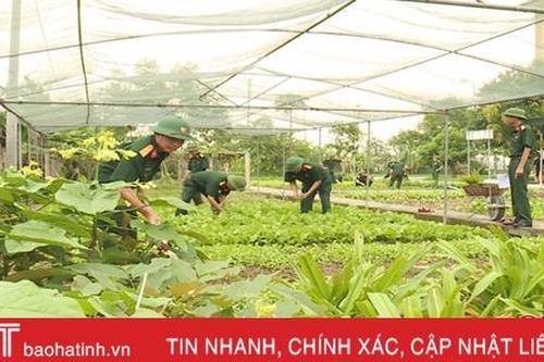 Rau trong vườn, cá dưới ao, CBCS quân sự Can Lộc tự lo thực phẩm sạch