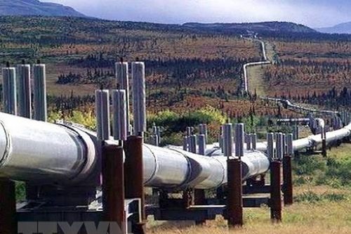 Xuất khẩu dầu thô của Mỹ tiếp tục tăng trong nửa đầu năm