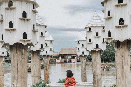 Tiết lộ góc check-in 'thần thánh' mới toanh của rừng tràm Trà Sư, An Giang khiến giới trẻ mê mẩn
