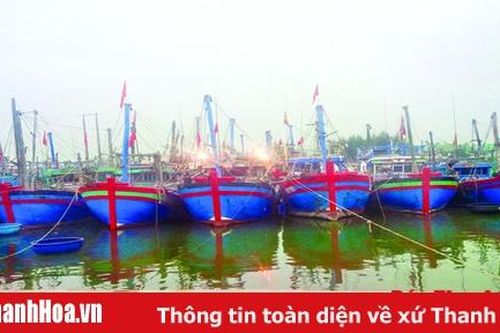 Triển khai thực hiện quản lý tàu cá theo hạn ngạch