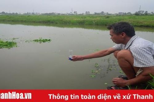 Chủ động quản lý chất lượng thú y thủy sản