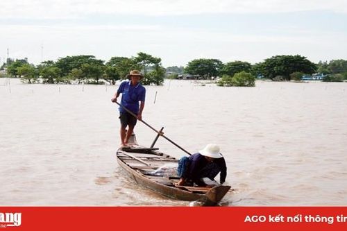 Trên đồng nước lũ