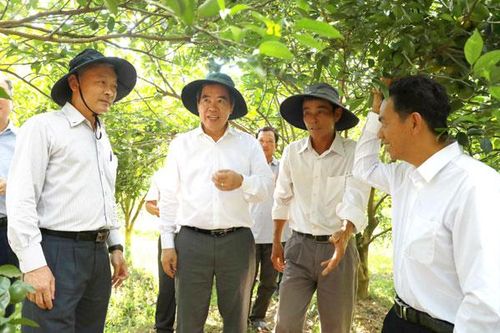 Tập trung hoàn thành giải ngân và thu ngân sách năm 2019