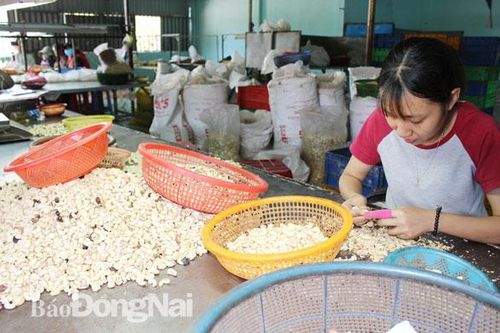 Không bỏ 'trứng' vào một 'giỏ'