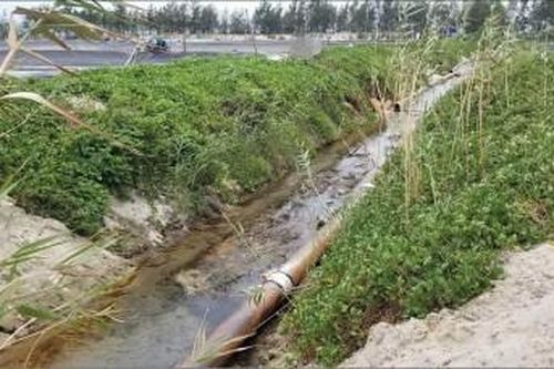 Kinh tế Khoa học - công nghệ Nuôi trồng thủy sản chịu tác động ô nhiễm và biến đổi khí hậu