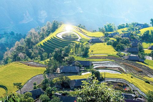 Hoàng Su Phì và mùa vàng gây thương nhớ