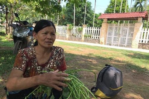 Sống phấp phỏng ở 'làng ung thư'
