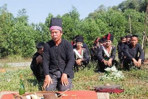 'Mùa về qua những sắc hoa'