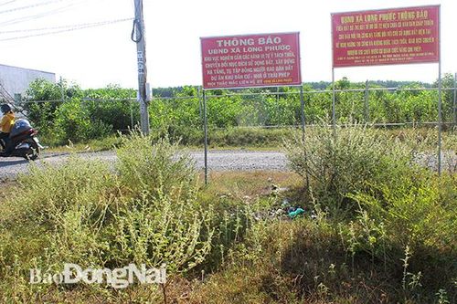 Phong tỏa các thửa đất có dự án 'ma' của Alibaba