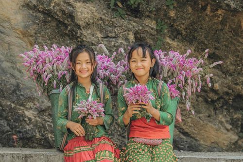 Đi qua thương nhớ mùa vàng Hà Giang