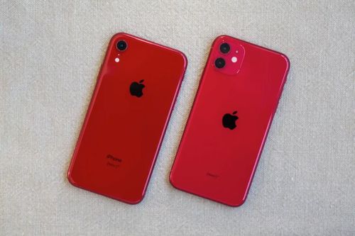 iPhone 11 có đáng mua hơn iPhone XR?