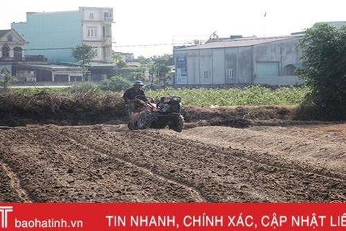 Nông dân Thạch Liên ra đồng làm rau chuẩn bị đón tết