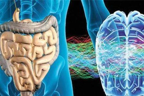 2 loại 'đau' báo hiệu ung thư ruột: Cảnh báo đối tượng này phải đi khám ngay lập tức