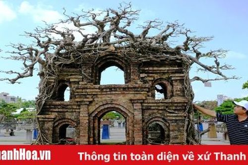 Hàng nghìn cây cảnh độc đáo được trưng bày tại Quảng trường Lam Sơn
