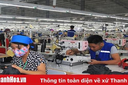 Toàn tỉnh có 770 doanh nghiệp đầu tư vào lĩnh vực nông nghiệp, nông thôn