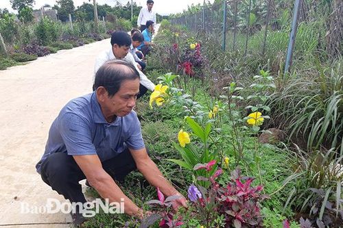 7 xã đạt chuẩn nông thôn mới nâng cao