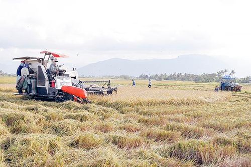 Kiên quyết giải thể hợp tác xã không hoạt động