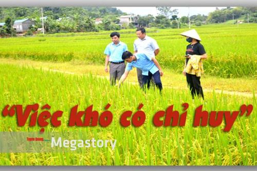 'Việc khó có chỉ huy' Rừng vàngThắp sáng niềm tin với Đảng'Lo trước cái lo thiên hạ'Làm để dân tin