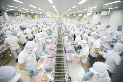 Phải coi thương hiệu là tài sản