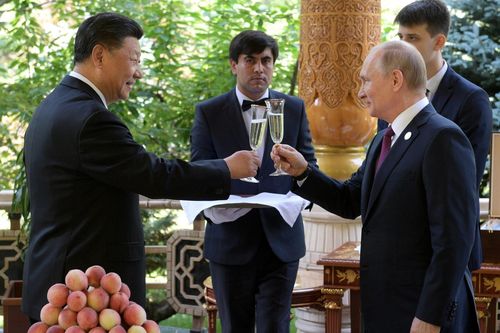 TT Putin đến rừng Siberia trước sinh nhật thứ 67