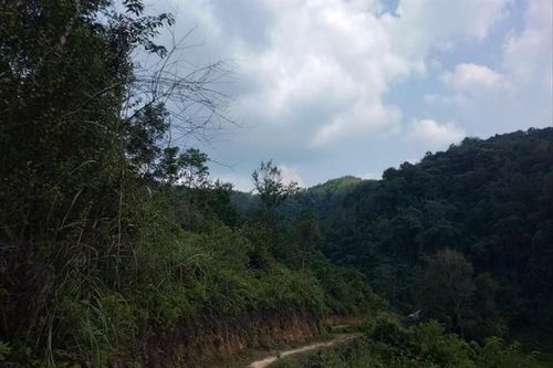 Lạng Sơn: Khởi tố nguyên Giám đốc Chi nhánh Văn phòng đăng ký đất đai huyện Bình Gia