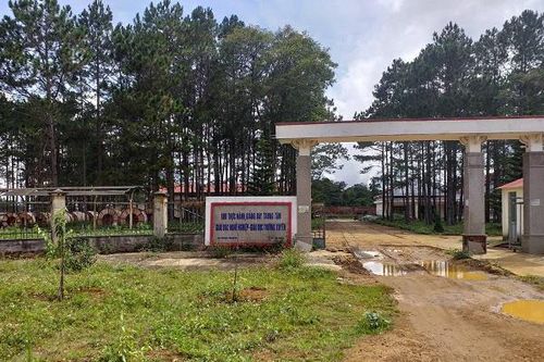 Trung tâm Giáo dục thường xuyên - Giáo dục nghề nghiệp (Huyện Kon Plông - Kon Tum): Đầu tư gần 29 tỉ đồng, cho thuê 3 triệu/tháng?