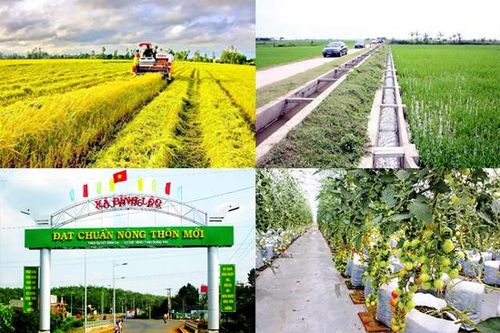 Tọa đàm 'Bức tranh nông thôn sau 10 năm đổi mới'