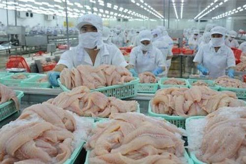 VASEP: Xuất khẩu cá tra tiếp tục giảm trong 2 tháng cuối năm, giá cá tra nguyên liệu khó tăng cao