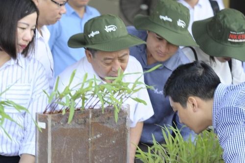 Giải pháp mới phòng chống sâu keo, tăng năng suất cây ngô
