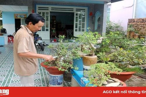 Nông dân TP. Long Xuyên thi đua sản xuất - kinh doanh giỏi