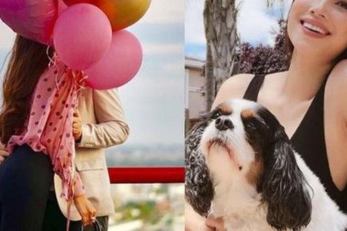 Hoa hậu Phạm Hương được bạn trai cưng chiều, tự tay vào bếp nấu ăn