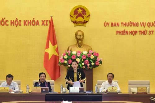 Triển khai kết luận của UBTVQH tại Phiên họp thứ 37