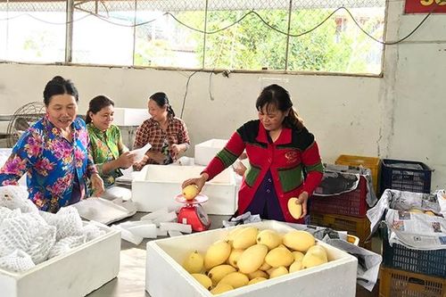 Thúc đẩy tăng trưởng xuất khẩu nông sản