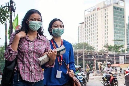Ðông - Nam Á đối phó ô nhiễm từ cháy rừng