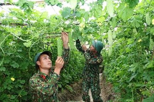 Trung đoàn 165 tăng gia giỏi