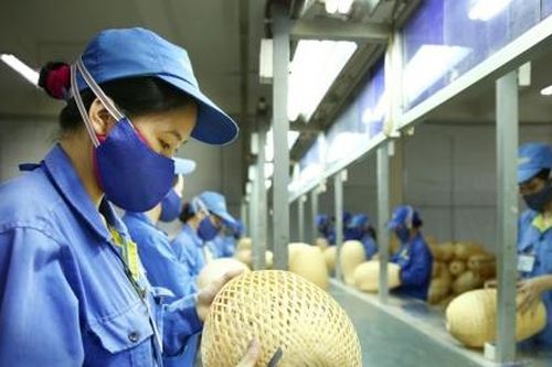 Thúc đẩy và đầu tư vào mô hình kinh doanh hướng tới người thu nhập thấp