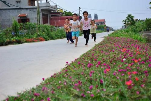 Xây dựng nông thôn mới: Khó khăn khi 'hái quả cành cao'
