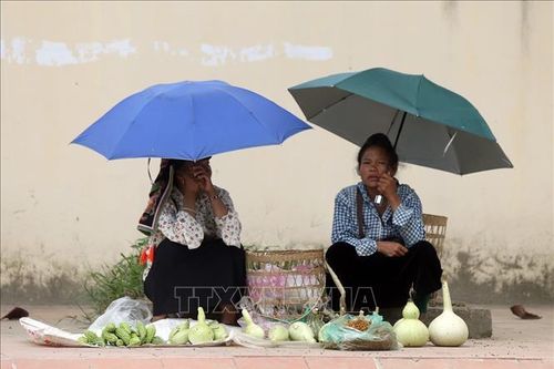 Phụ nữ vùng cao mưu sinh giữa lòng chảo Điện Biên